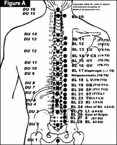 L3 Nerve Root