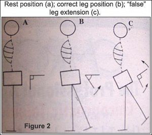 Safe Back Workouts, Part One: How to Progress Patients with Exercises ...