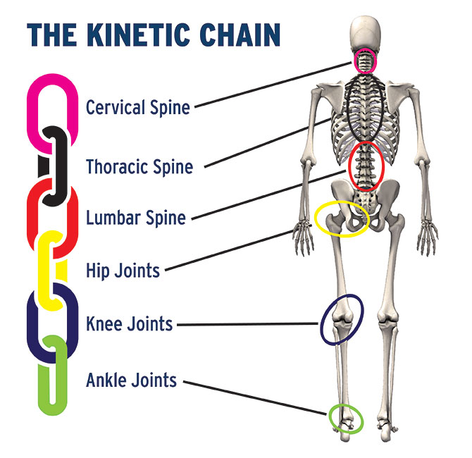 The Kinetic Chain