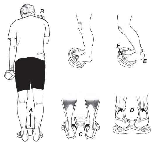 Home exercise protocol for Achilles injuries