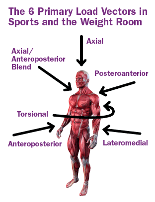 6 BENEFITS OF SUSPENSION TRAINING