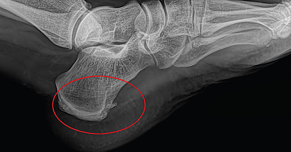 Chiropractic Management