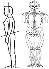 The Chasm Between Posture and Chiropractic Education and Treatment