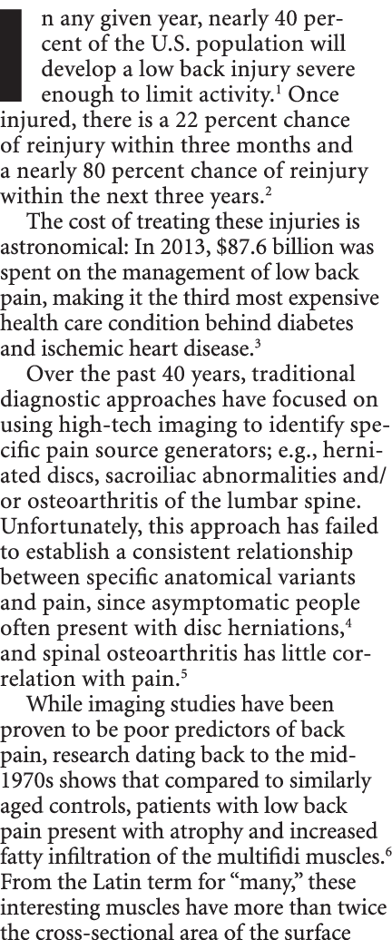 In any given year, nearly 40 per cent of the U.S. population will develop a low back injury severe enough to limit ac...