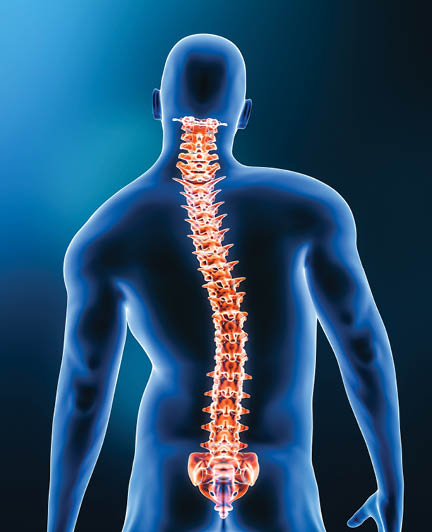 Comparison between normal backbone and scoliosis curvature of the spine with male model from back view 3D rendering illustration. Human anatomy, spinal disorders or deformity, backbone pathology, medical concepts.
