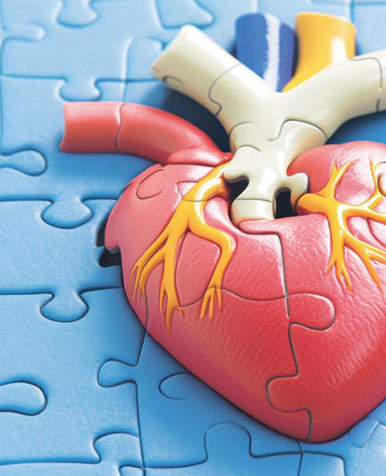 A 3D model of a human heart in a puzzle, representing the complexity of cardiovascular health.