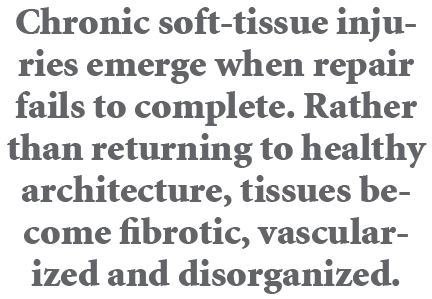 Chronic soft tissue injuries emerge when repair fails to complete. Rather than returning to healthy architecture, tis...
