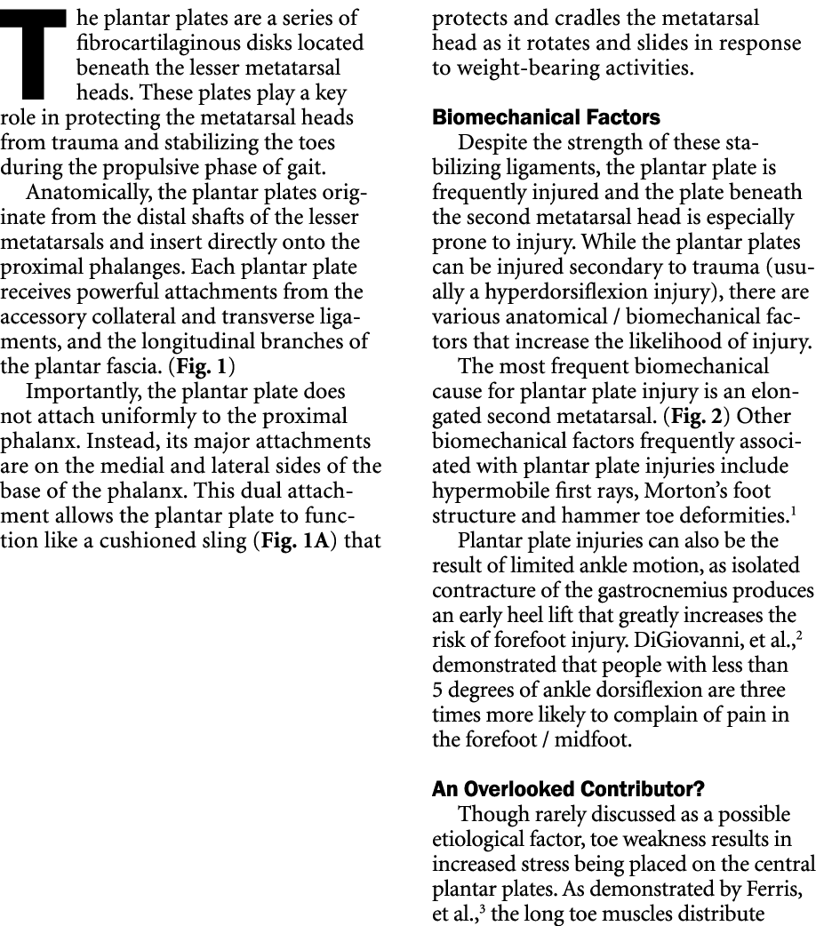 The plantar plates are a series of fibrocartilaginous disks located beneath the lesser metatarsal heads. These plates...