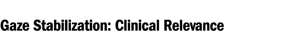 Gaze Stabilization: Clinical Relevance 