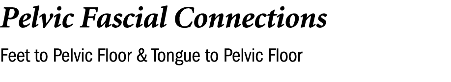 Pelvic Fascial Connections Feet to Pelvic Floor & Tongue to Pelvic Floor 