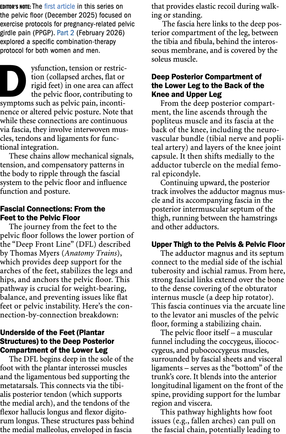 Editor’s Note: The first article in this series on the pelvic floor (December 2025) focused on exercise protocols for...