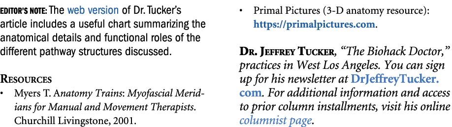 Editor’s Note: The web version of Dr. Tucker’s article includes a useful chart summarizing the anatomical details and...