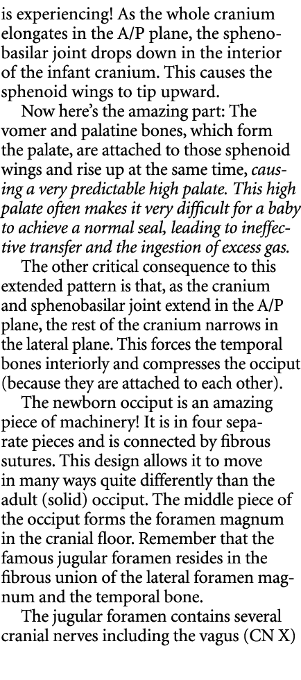 is experiencing! As the whole cranium elongates in the A/P plane, the sphenobasilar joint drops down in the interior ...