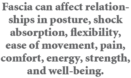 Fascia can affect relationships in posture, shock absorption, flexibility, ease of movement, pain, comfort, energy, s...