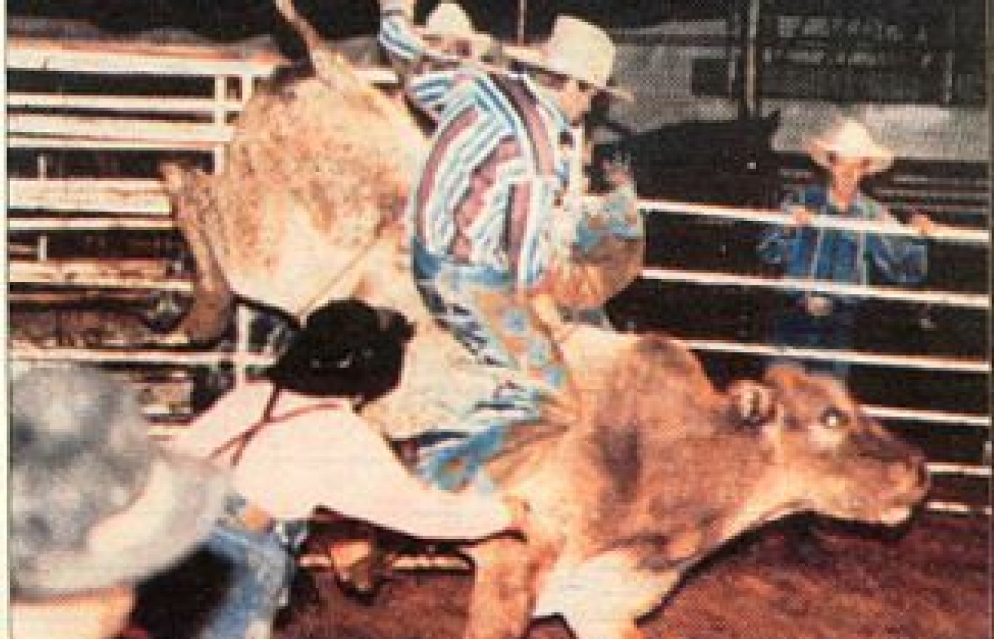 Cowboy riding a bull.