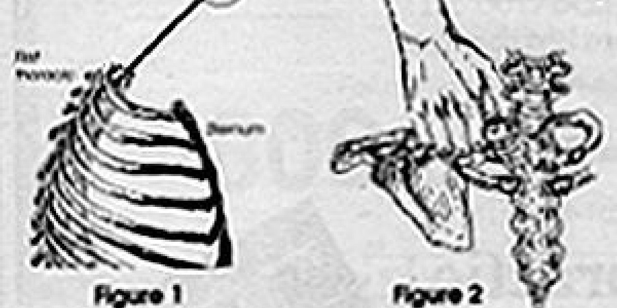 First Rib-Specific | Dynamic Chiropractic