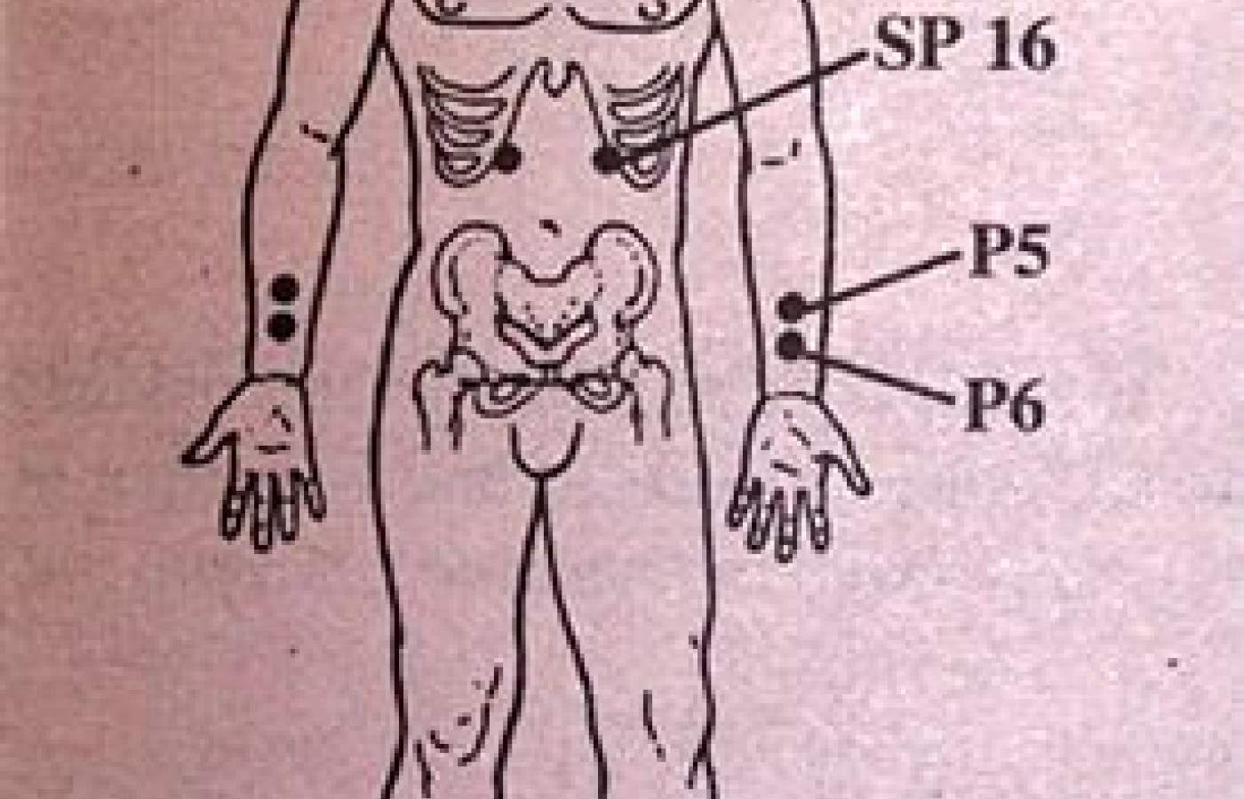 Acupuncture Point Diagram