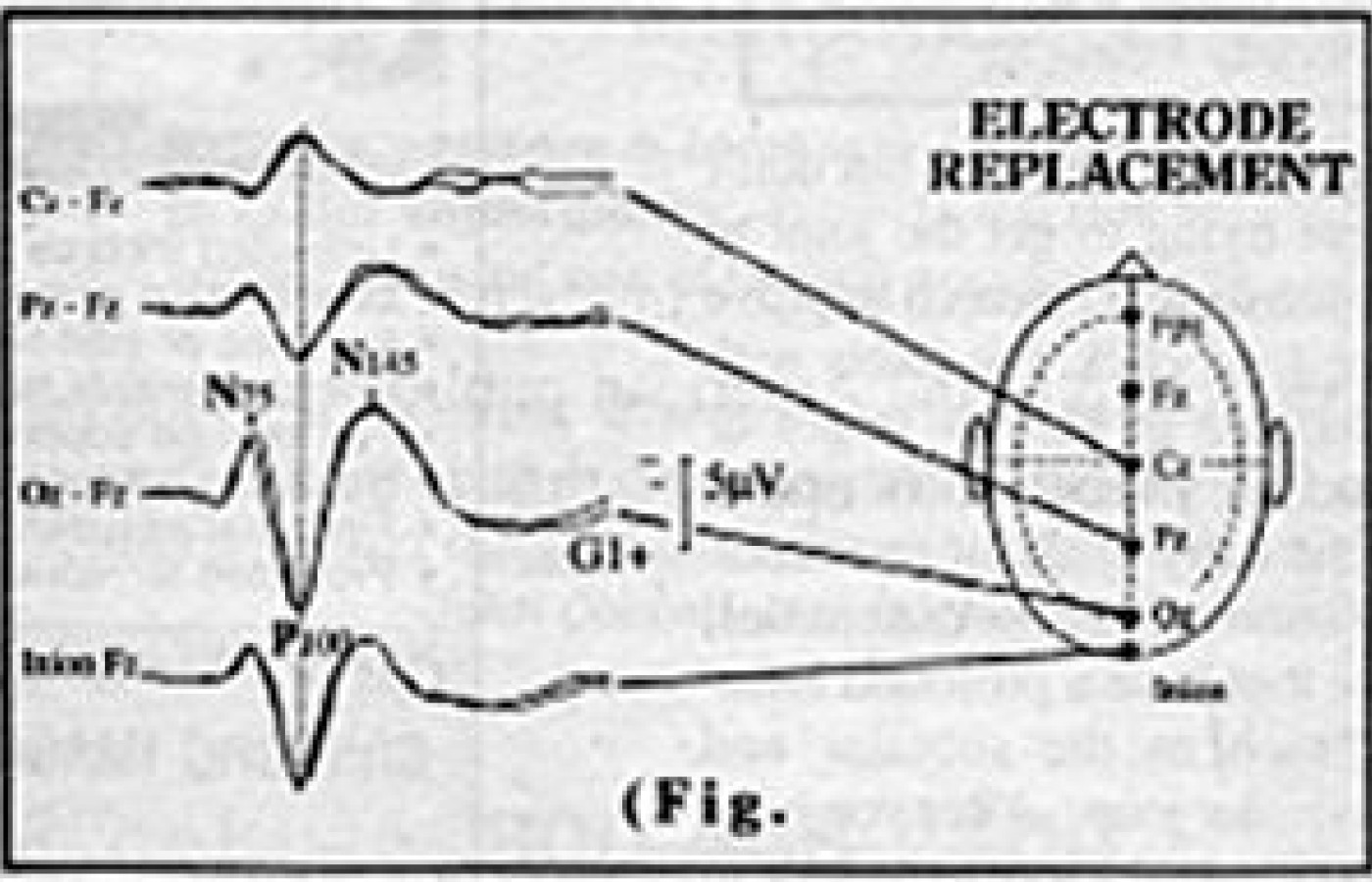 Electrode Model