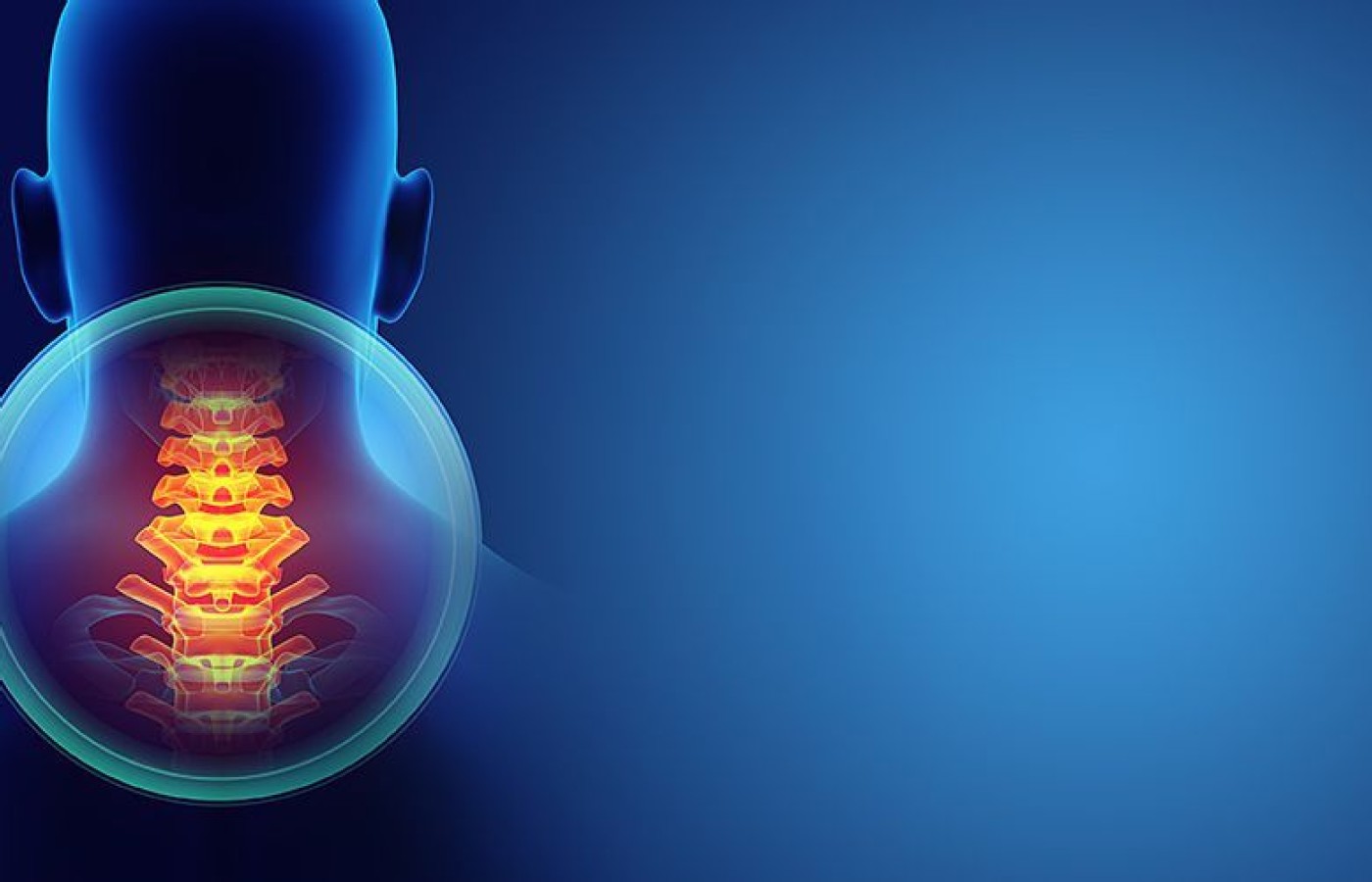 cervical spine