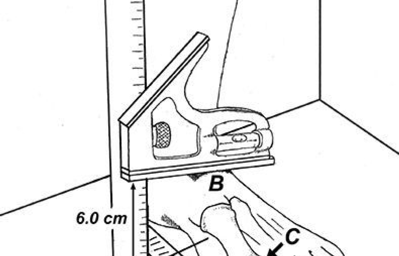 arch height ratio