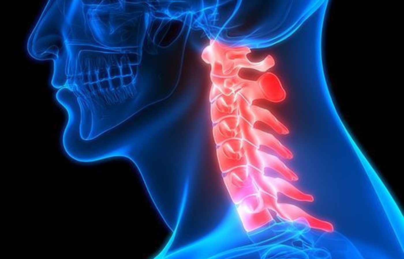 cervical spine