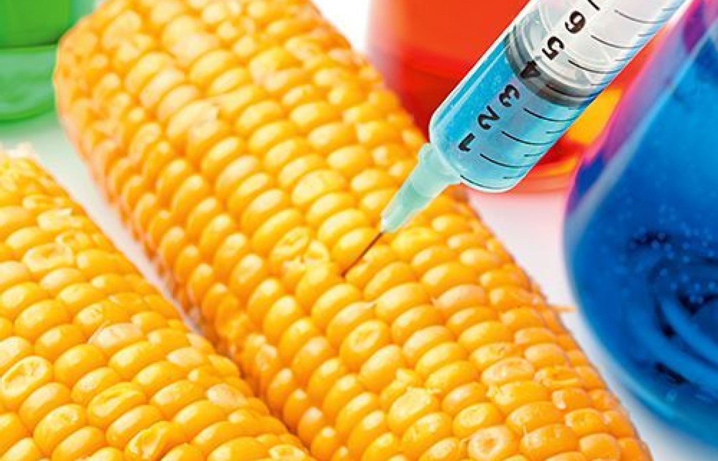 Genetic Modification