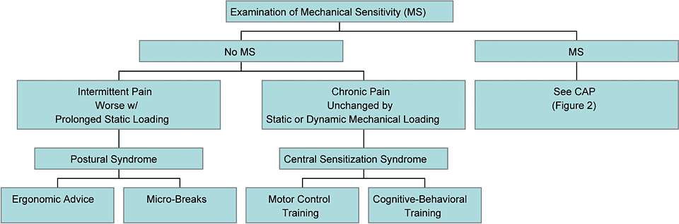 Active Movement Assessment