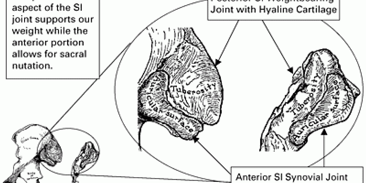 Sacro-Occipital Technique's 