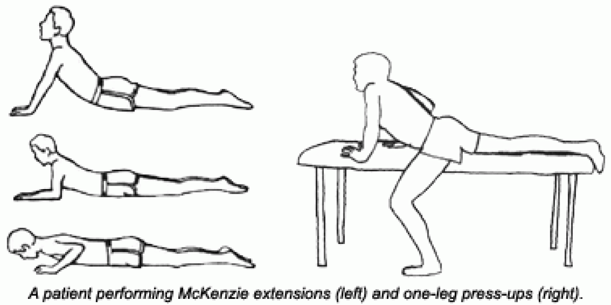 Discogenic Pain: Inflammation and Exercise | Dynamic Chiropractic