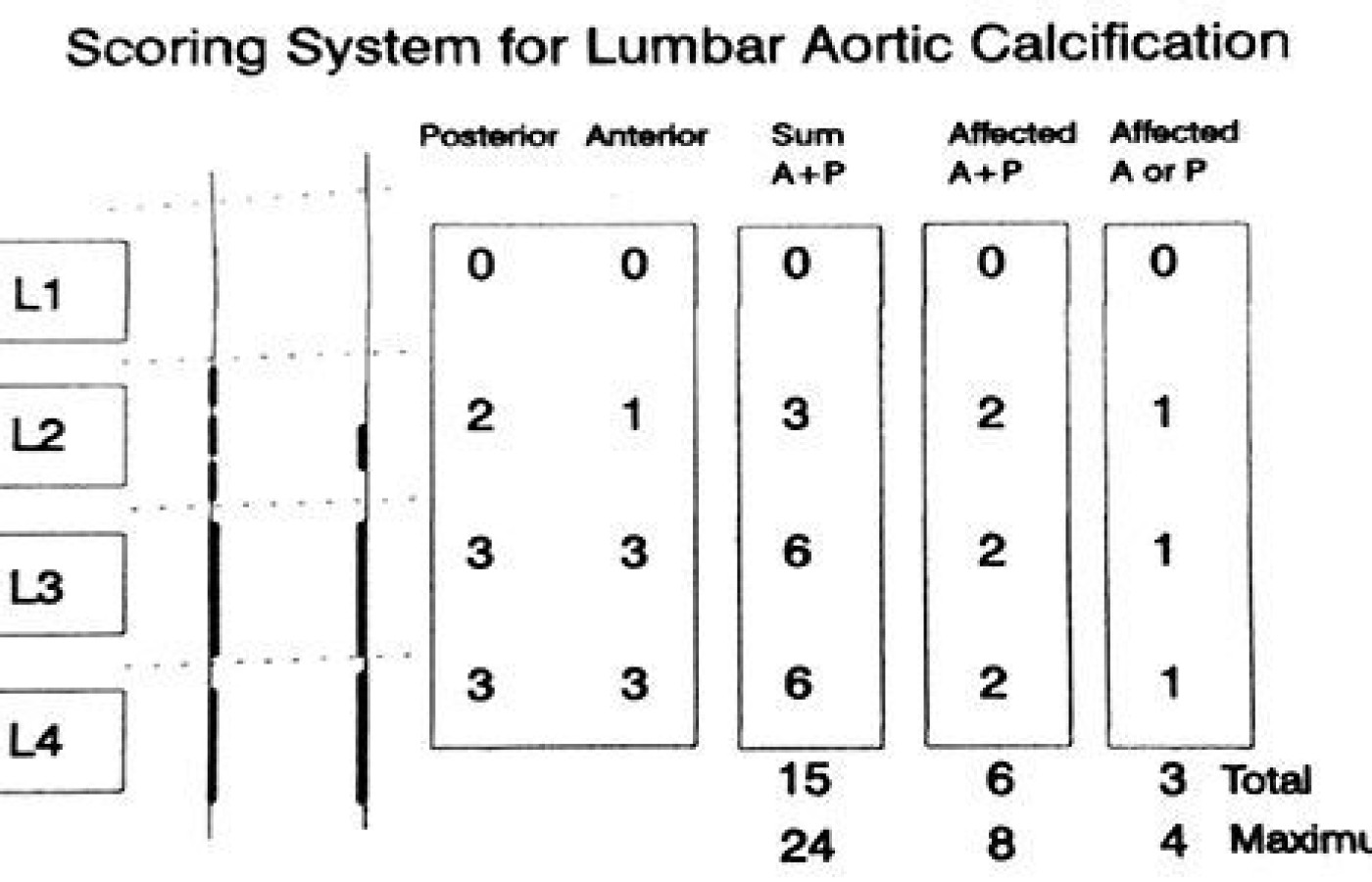 ACC-24 scoring system