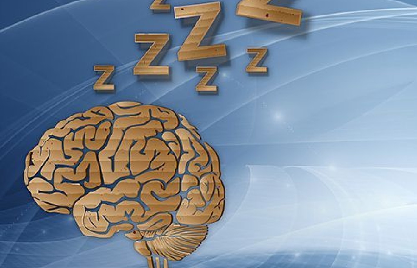 sleep science